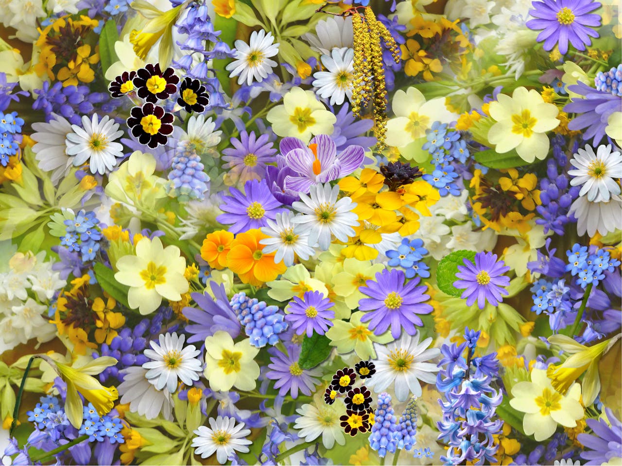 Waarom Gedroogde Bloemen de Perfecte Keuze Zijn voor Duurzaam en Stijlvol Interieur